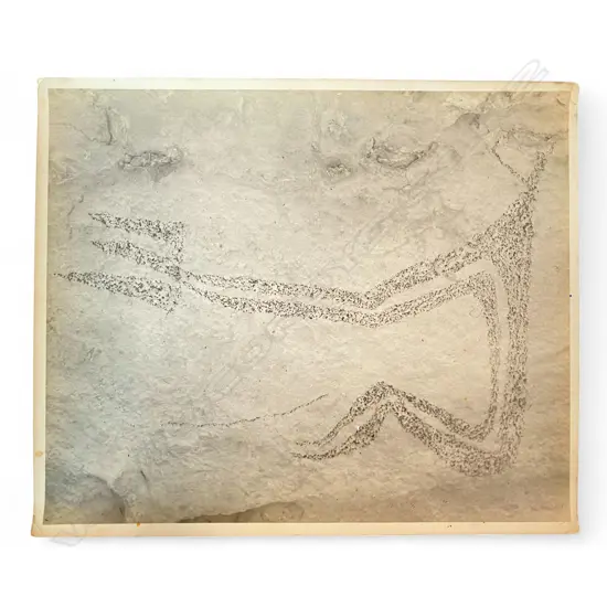 Theo Schoon (1915-85) 'Large human figure from the earthquake Duntroon', c.1947